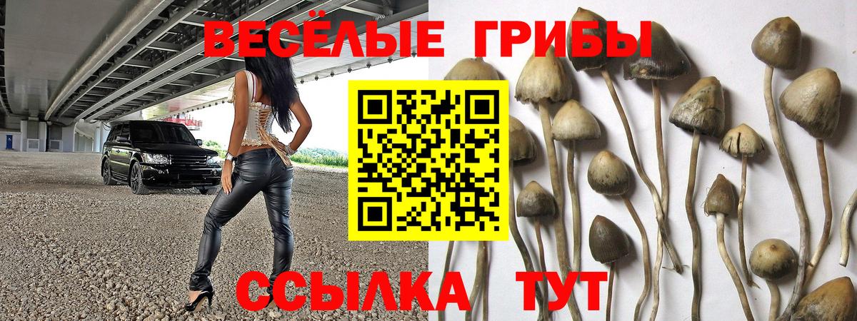 Галлюциногенные грибы мицелий Усолье-Сибирское