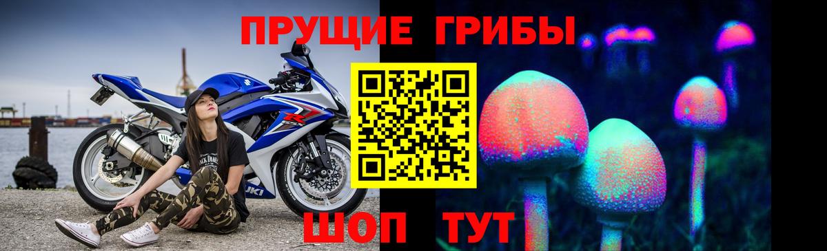 Псилоцибиновые грибы GOLDEN TEACHER  Псилоцибиновые грибы GOLDEN TEACHER  Усолье-Сибирское  Вход с VPN 